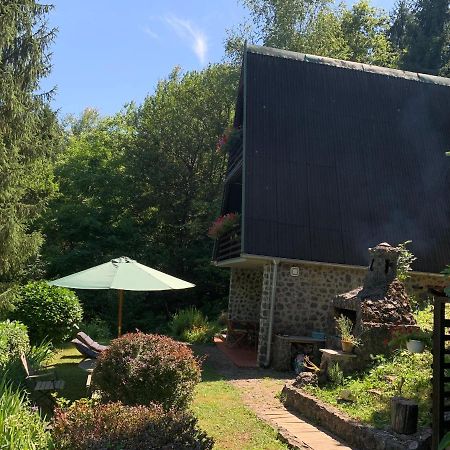 Barilovic Holiday Home Dragonfly River House On Korana Near Plitvice And Mreznica מראה חיצוני תמונה