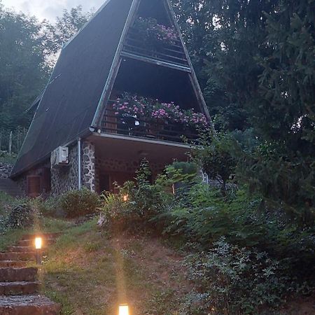 Barilovic Holiday Home Dragonfly River House On Korana Near Plitvice And Mreznica מראה חיצוני תמונה