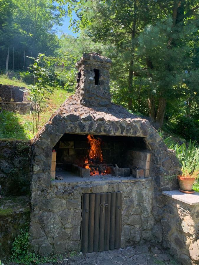Barilovic Holiday Home Dragonfly River House On Korana Near Plitvice And Mreznica מראה חיצוני תמונה